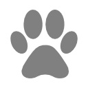 Vinyl Fence Pet Saefe Vinyl Fence Pet Saefe